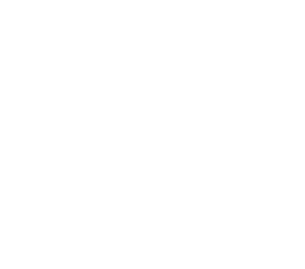 LAPAC